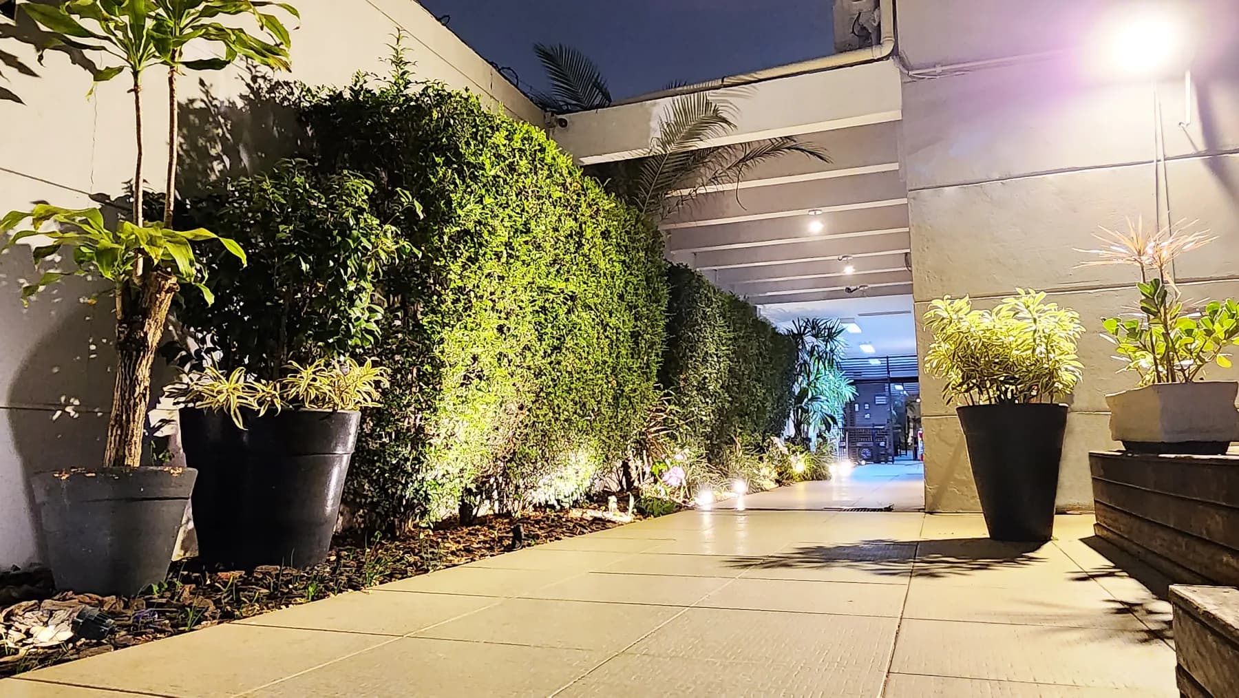 Jardim da Allegra Odontologia com vegetação e caminho de acesso à clínica.